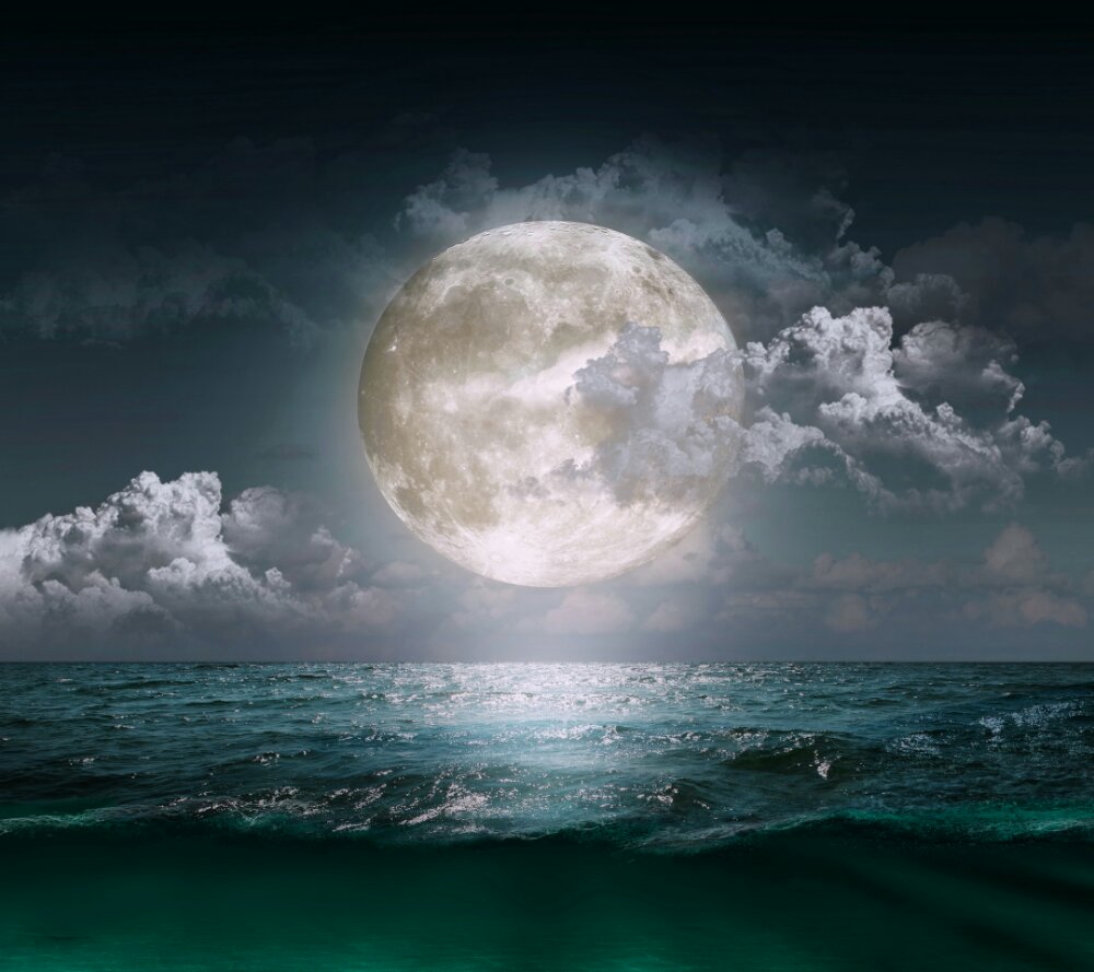 Amazing illustration landscapes: moonlit sea | eyesOfOdysseus